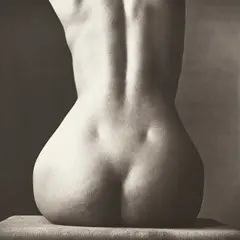 Irving Penn, Sitting Nude Rear, New York, 1993, Platinum-palladium print, mounted