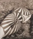 Herb Ritts, Neith with Shadows, Rear View, Pound Ridge, New York