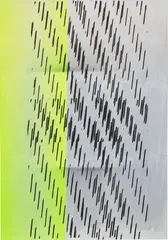 Nathan Hylden, Untitled, 2008, acrylic and spray paint on linen