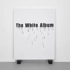 Gardar Eide Einarsson, The White Album (Bone Black), 2006, acrylic and graphite on canvas, on two painted wooden blocks