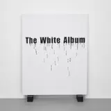 Gardar Eide Einarsson, The White Album (Bone Black), 2006, acrylic and graphite on canvas, on two painted wooden blocks