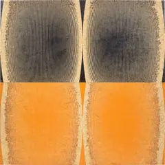 Michael DeLucia, Untitled (Black Orange), 2011, acrylic on plywood, diptych