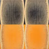 Michael DeLucia, Untitled (Black Orange), 2011, acrylic on plywood, diptych