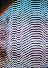 Tauba Auerbach, Static 19, 2011, c-print