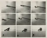 Dan Graham, Roll, 1970, gelatin silver print