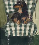 Caroline Walker, Lottie, 2009, oil on board