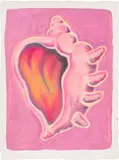Pedro Pedro, Conch Shell, 2017, acrylic on paper