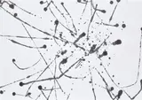 Mark Wallinger, Motion Study II, 2022, india ink on paper