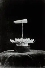 Buddha's Tooth by Tacita Dean, 2021, hand-printed photochemical black and white fibre-based photograph on paper, sold Sep 2023