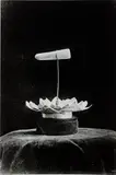 Tacita Dean, Buddha's Tooth, 2021, hand-printed photochemical black and white fibre-based photograph on paper