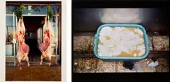 Mona Hatoum, Two works: (i) Carcasses (Baalbeck) ; (ii) Kroush (tripe) (Jerusalem), 1998, c-print