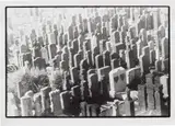 Zoe Leonard, Gravestone with two hearts
