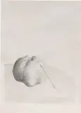 Nicolas Party, Untitled