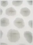 Hugh Scott-Douglas, Untitled, 2012, gesso on lasercut canvas