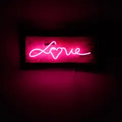 Chris Bracey, Love, 2010, neon on board