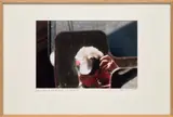 Dan Graham, Self Portrait with Make-up Mirror for "Girls' Make-up Room", 1997, c-print mounted on card