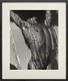 Herb Ritts, Waterfall Torso, 1988, gelatin silver print
