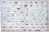 Damien Hirst, Without You, 2008, glass, painted MDF, beech, acrylic, fish and formaldehyde solution