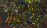 Renato Guttuso, Aranceto Notturno, 1957, oil on canvas