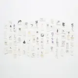 Jim Hodges, Diary of Flowers (CLOSE)