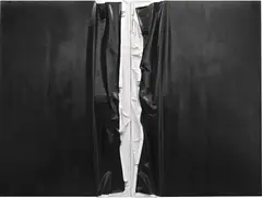 Steven Parrino, Slip it in, 1987, enamel on canvas, in 2 parts