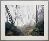 Thomas Struth, Paradise 18 (Emai Shan), Yunnan Province, 1999, c-print face-mounted to Plexiglas, in artist's frame