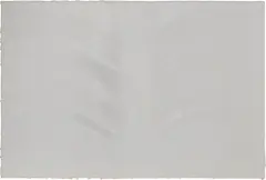 Jason Martin, Youth, 2005, acrylic gel on aluminum