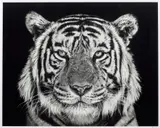 David Yarrow, Rajasthan, 2019, archival pigment print on paper