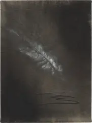 Sanya Kantarovsky, Untitled, 2012, ink, bleach and gesso on linen