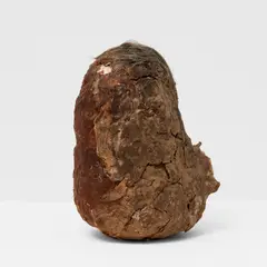 Thierry De Cordier, Patate (Selfportrait as a Potato), 1989, clay, hair and potato