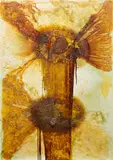 John Armleder, Untitled, 2006, acrylic, enamel, lacquer and sand on canvas