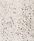 Lucien Smith, Untitled (Black 11)