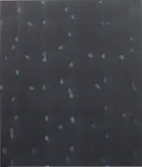 Mark Francis, Section No. 2, 1993, oil on canvas