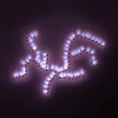 Claude Zervas, Phenomenomotonomous Simulacra, Evolved Diatomoton, Example #5, 2007, LED, custom electronics, c programs and high-flex wire