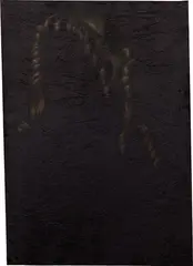 Untitled by Issy Wood, 2016, oil on velvet, sold Jun 2022
