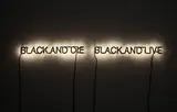 Glenn Ligon, Excerpt, 2009, neon and paint, in 2 parts
