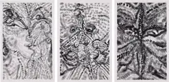 Lucy Bull, Three works: (i) Plume 1 ; (ii) Plume 2 ; (iii) Plume 3, 2018, charcoal on paper
