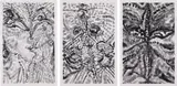 Lucy Bull, Three works: (i) Plume 1 ; (ii) Plume 2 ; (iii) Plume 3, 2018, charcoal on paper