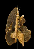 Damien Hirst, Crown in Petrified Honeycomb with Two Daggers, 2016, gold and bronze