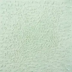 Carlo Rea, Spore Verde Chiaro, 2021, plaster, pigment, tempera and glue on canvas