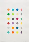 Damien Hirst, Lanthanum Oxide, 2010, coloured pencil on paper, in artist's frame