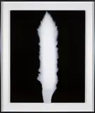 In Praise of Shadow, 980820 by Hiroshi Sugimoto, 1998, gelatin silver print, in artist's frame, sold Oct 2022