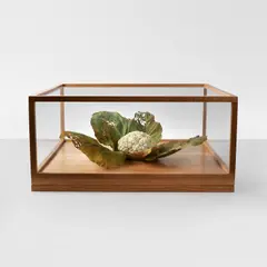 Roxy Paine, Cauliflower, 2006, polymer, oil, lacquer and wood, in glass vitrine
