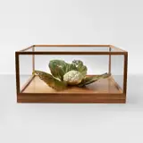 Roxy Paine, Cauliflower