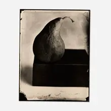 Tom Baril, Pear, 2002, gelatin silver print from a wet-plate collodion negative