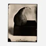 Tom Baril, Pear, 2002, gelatin silver print from a wet-plate collodion negative