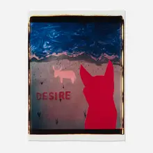 John Divola, Red Dog- Desire, 1986, unique large-format Polaroid Polacolor print