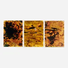 Ryan Foerster, Hurricane – Shawn, Julie, Jimmy (triptych), 2006-12, C-print, debris