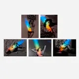 Martin Soto Climent, Five works from the Rainbow Girls, Russ Mayer series, 2012, digital pigment print