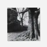 Ralph Eugene Meatyard, Untitled (Motion Sound) (from Portfolio Three: The Work of Ralph Eugene Meatyard), vintage gelatin silver print